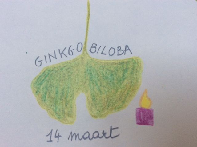 bloem