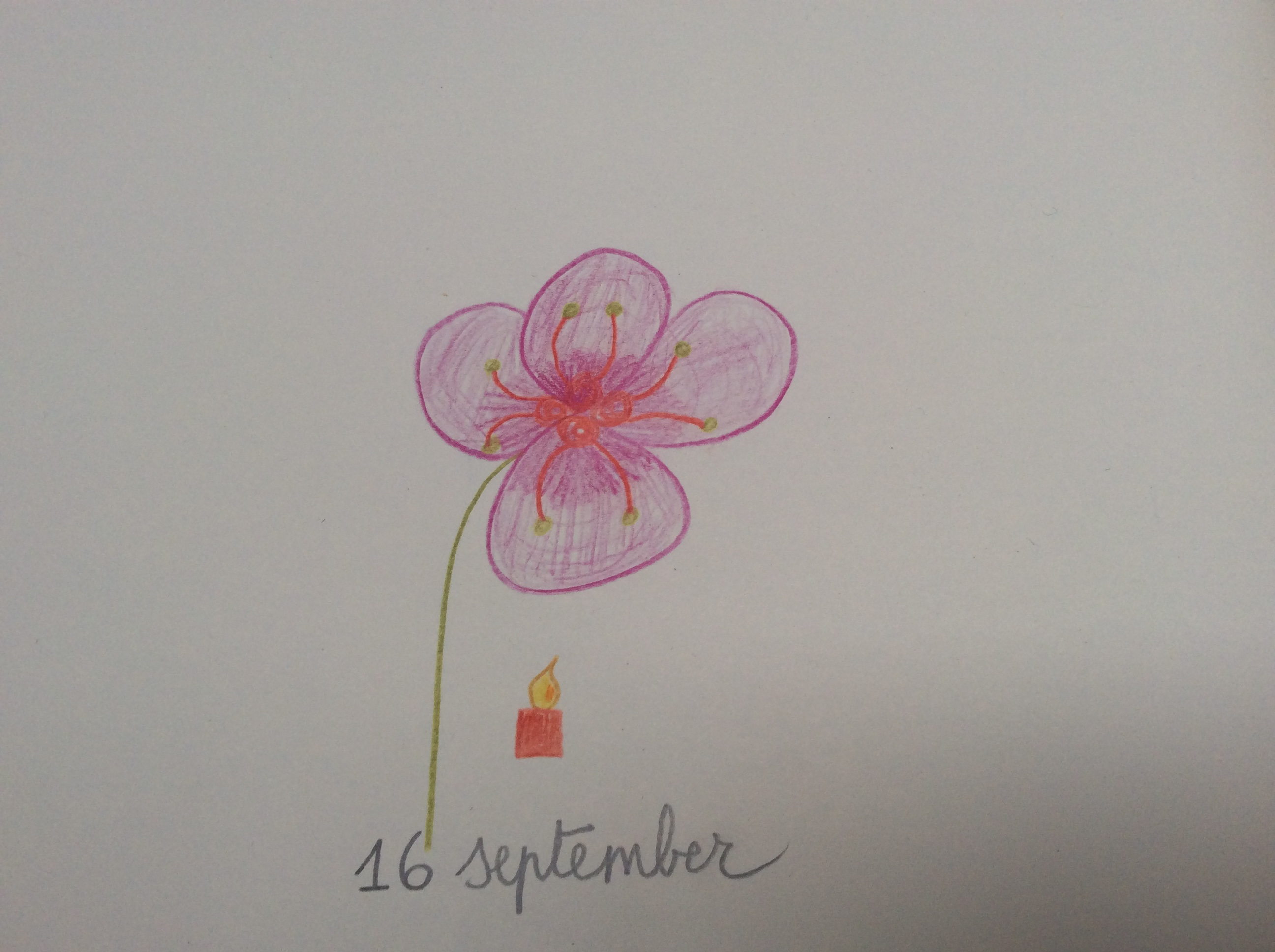 bloem
