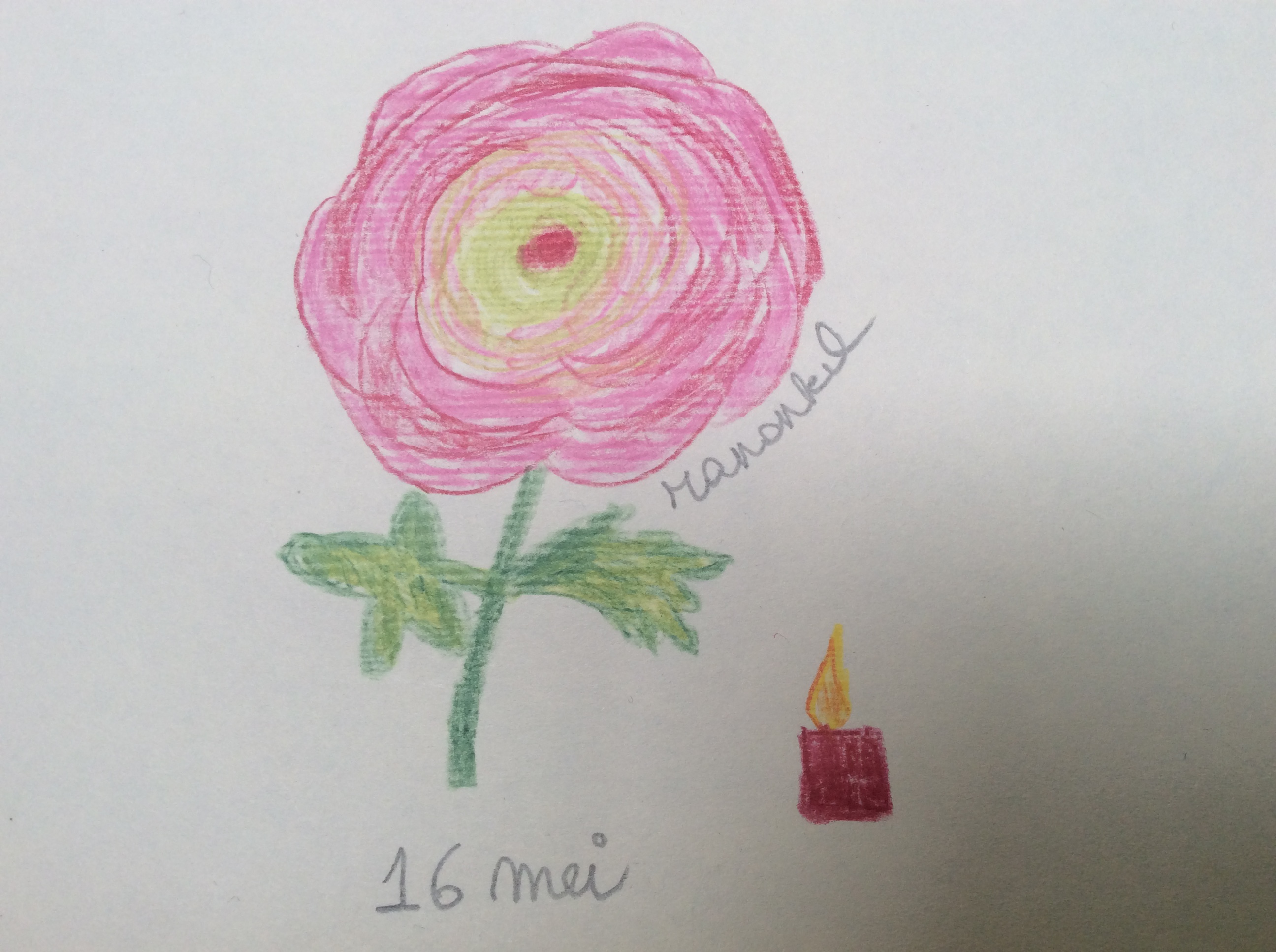 bloem