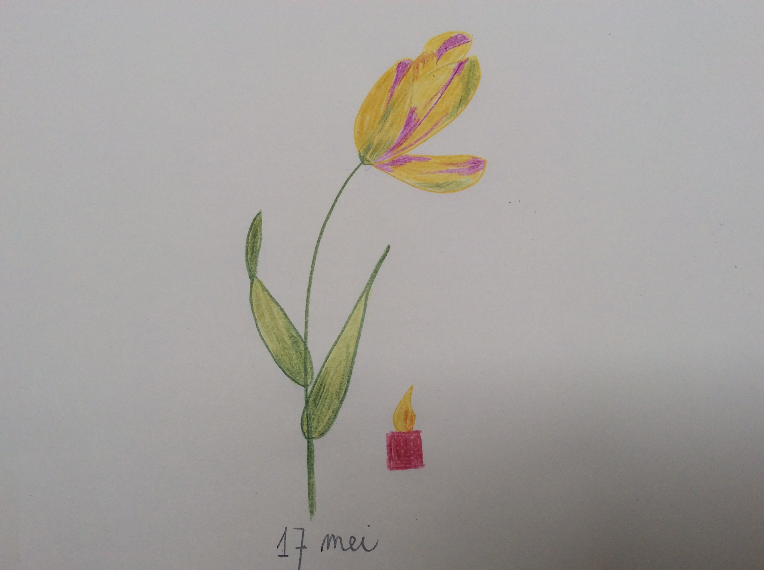 bloem