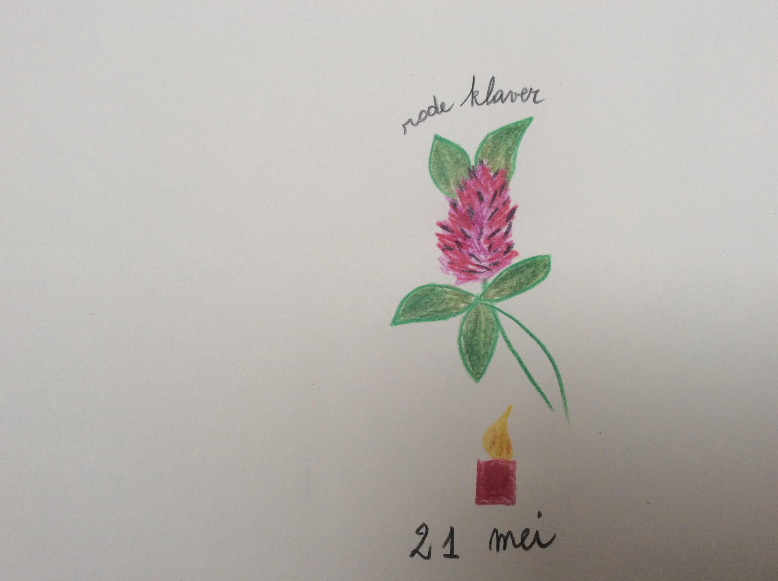 bloem