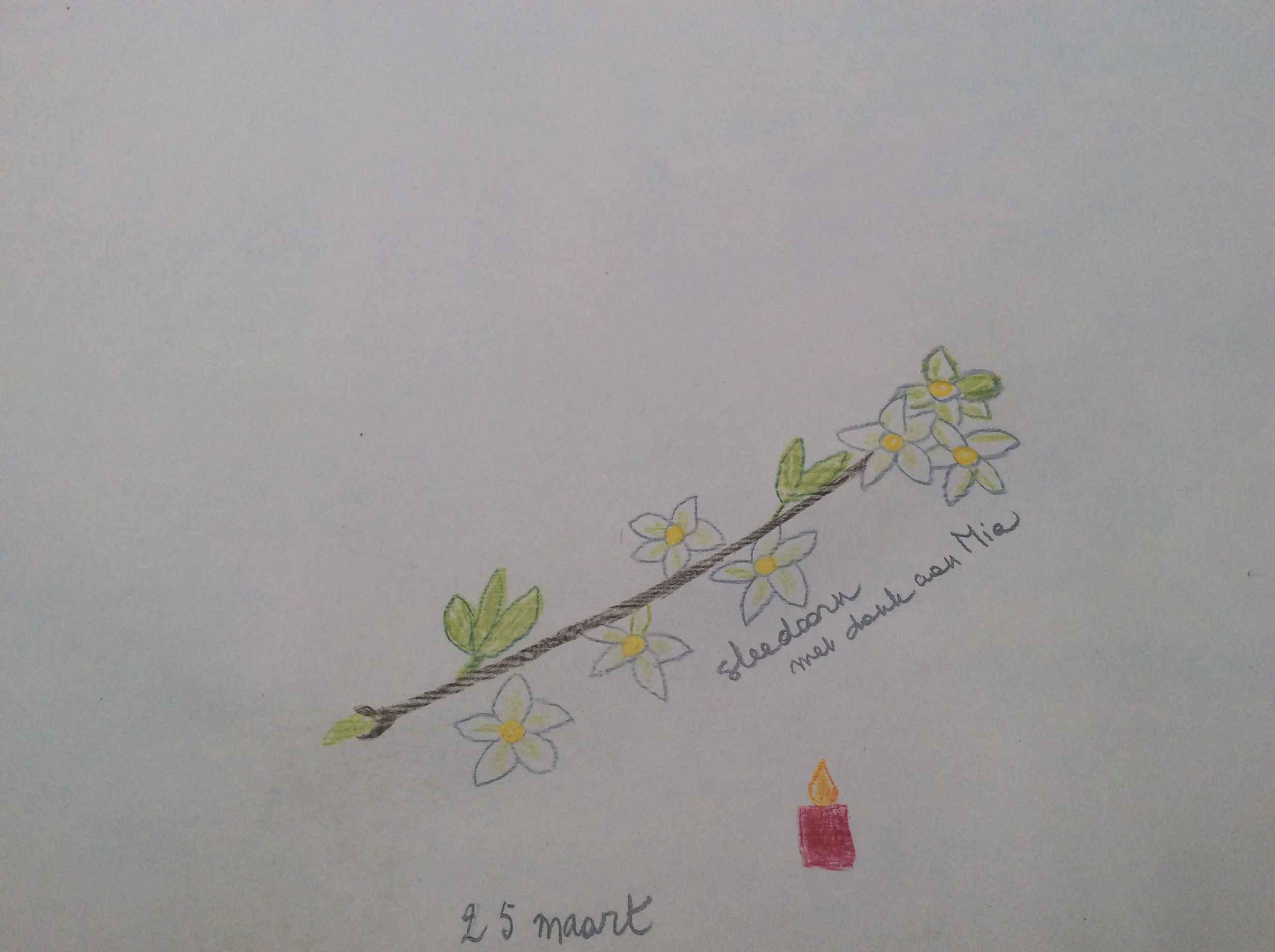 25 maart