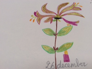 bloem