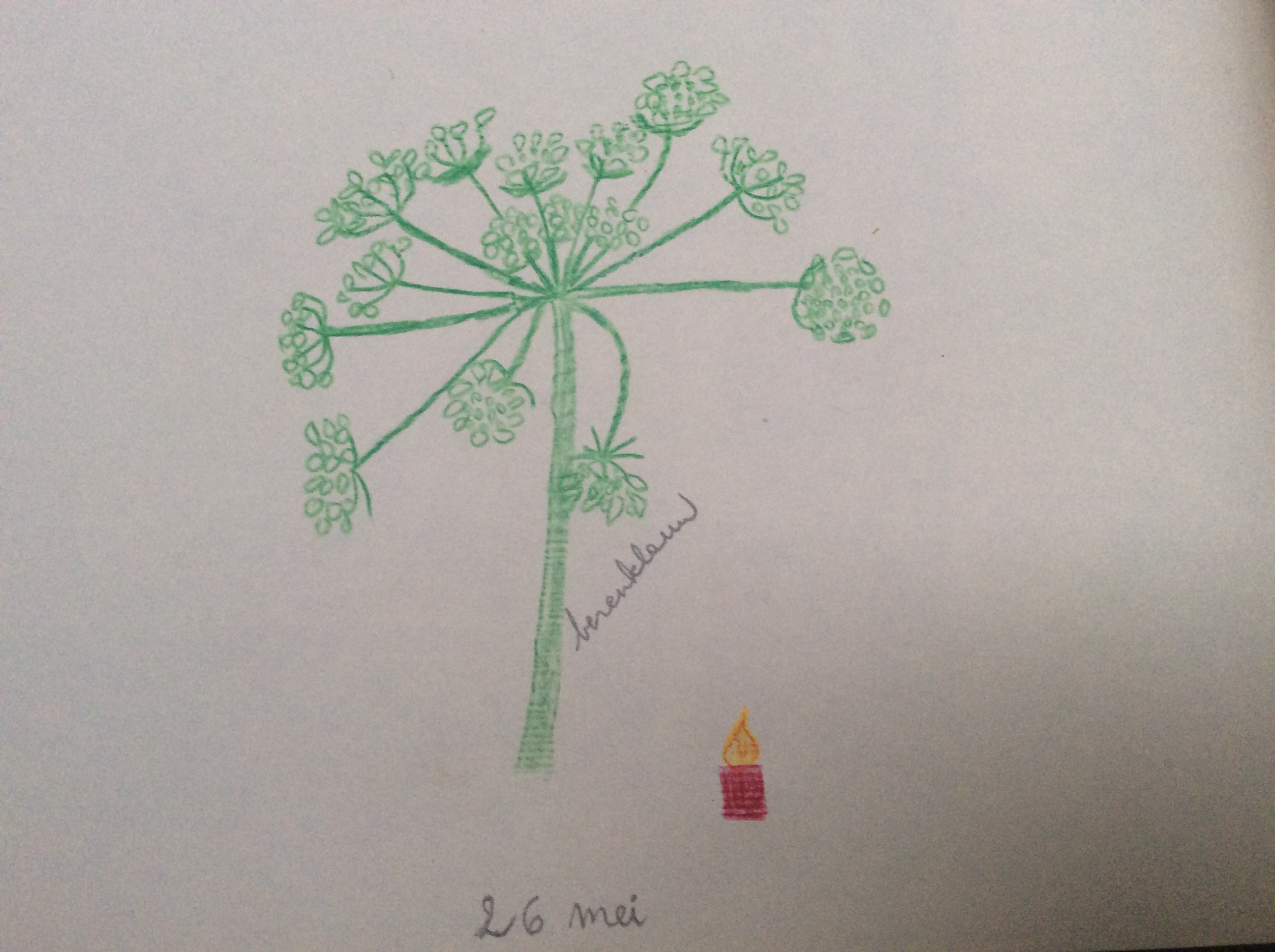 bloem