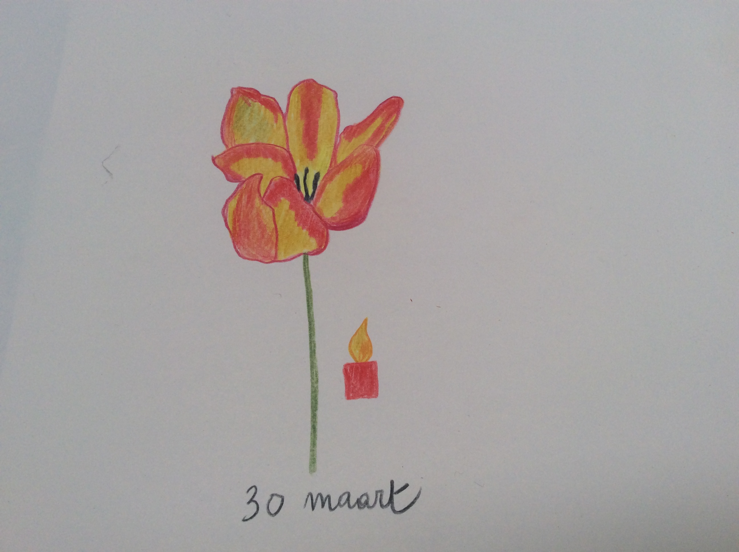 bloem