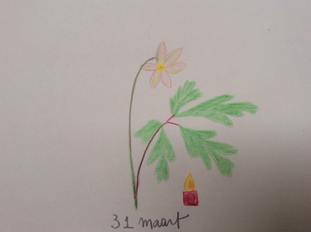 bloem