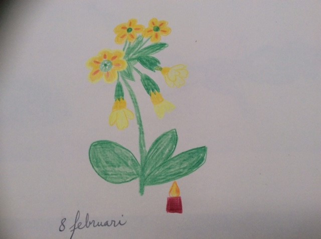 bloem