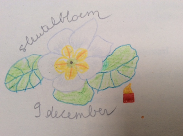bloem